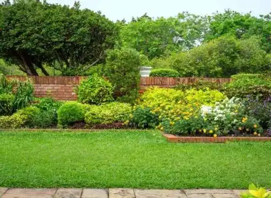 landscaping services Carter Springs